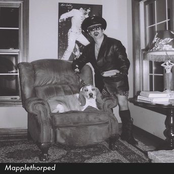 Mapplethorped